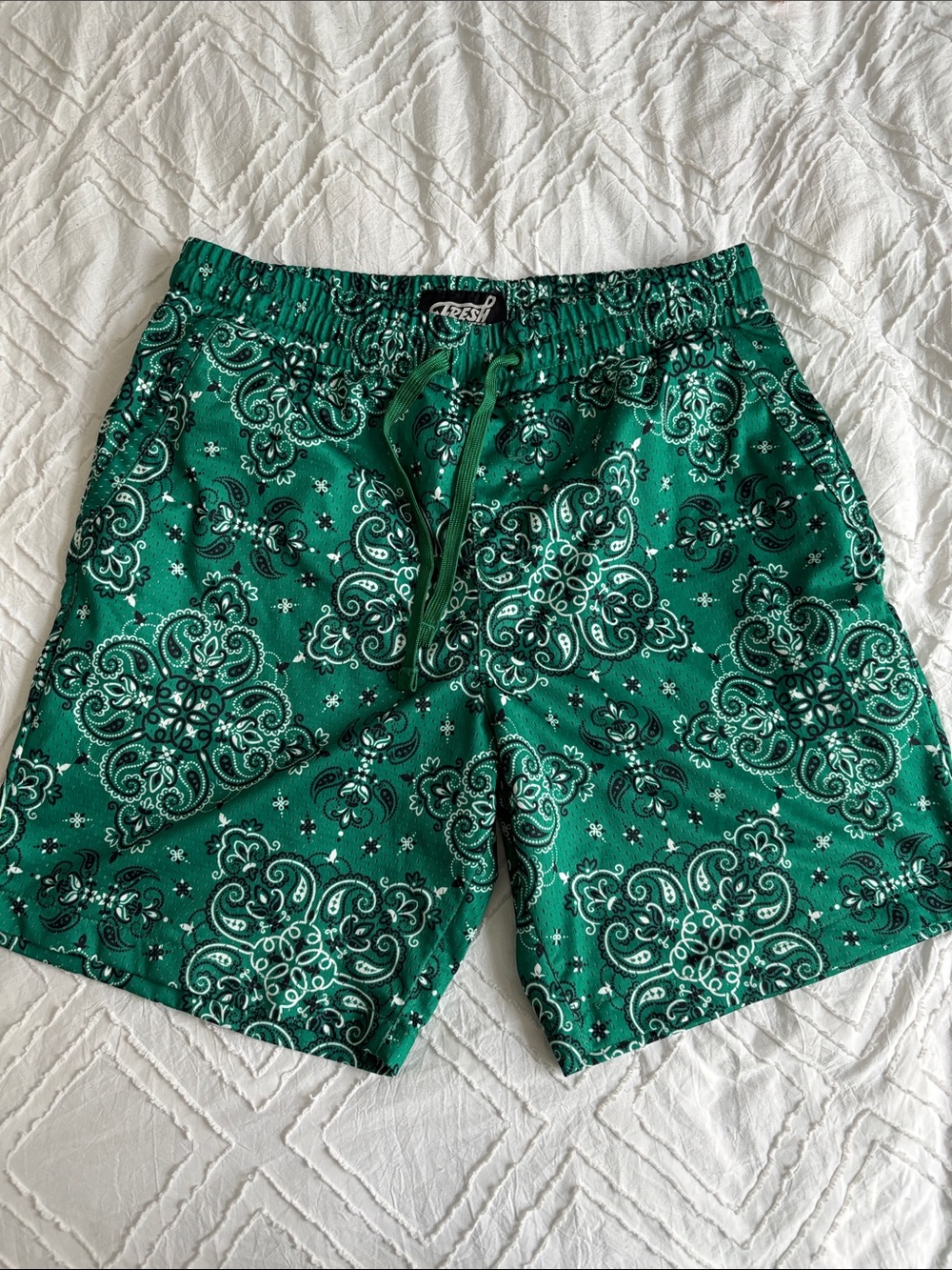 Emerald Green Paisley Swim Trunks